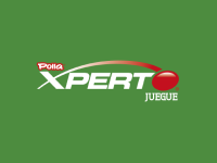 Xperto Logo